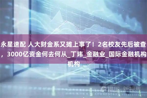 永星速配 人大财金系又摊上事了！2名校友先后被查，3000亿资金何去何从_丁玮_金融业_国际金融机构