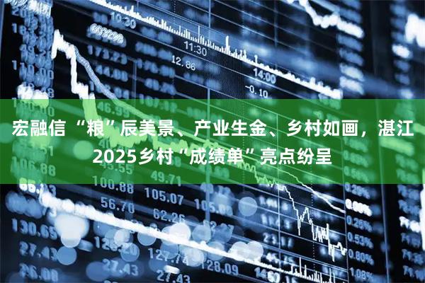 宏融信 “粮”辰美景、产业生金、乡村如画，湛江2025乡村“成绩单”亮点纷呈