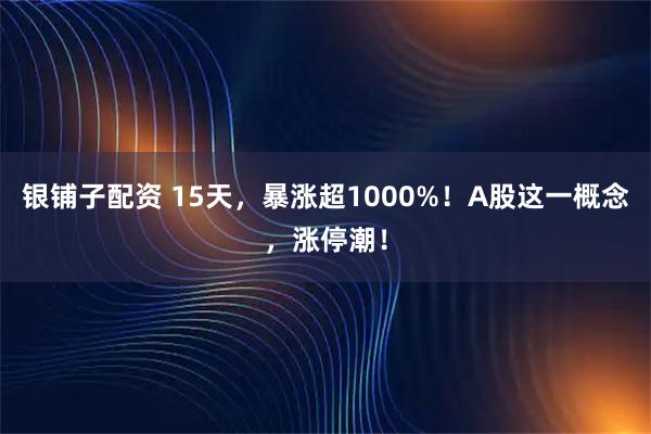 银铺子配资 15天，暴涨超1000%！A股这一概念，涨停潮！