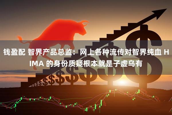 钱盈配 智界产品总监：网上各种流传对智界纯血 HIMA 的身份质疑根本就是子虚乌有